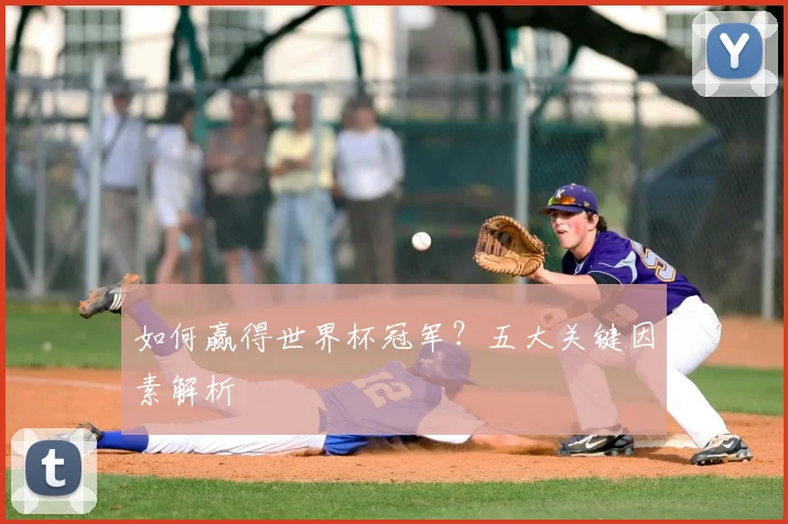 如何赢得世界杯冠军?五大关键因素解析