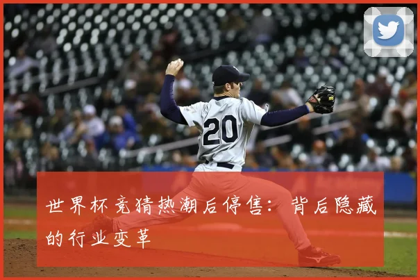 世界杯竞猜热潮后停售：背后隐藏的行业变革