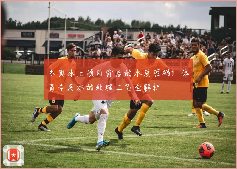 冬奥冰上项目背后的水质密码：体育专用水的处理工艺全解析