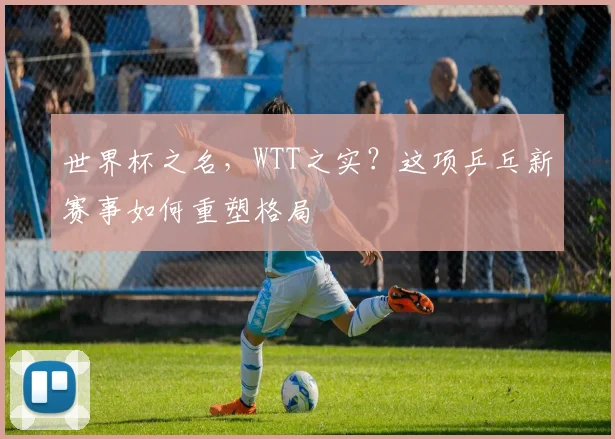 世界杯之名，WTT之实？这项乒乓新赛事如何重塑格局