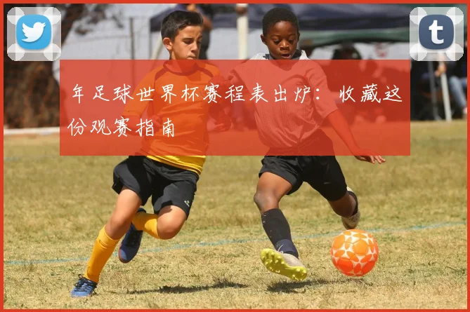 年足球世界杯赛程表出炉：收藏这份观赛指南