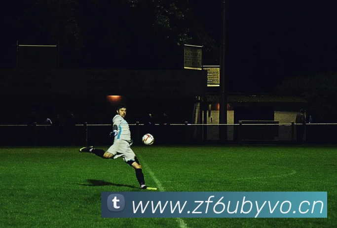 星空网页版平台生态图